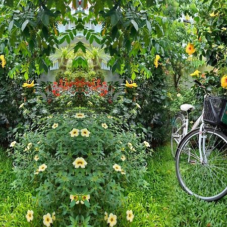 Star Garden Hoi An Leilighet Eksteriør bilde